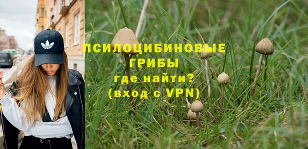 прущая мука Абаза