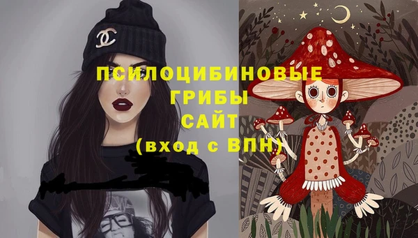 прущая мука Абаза